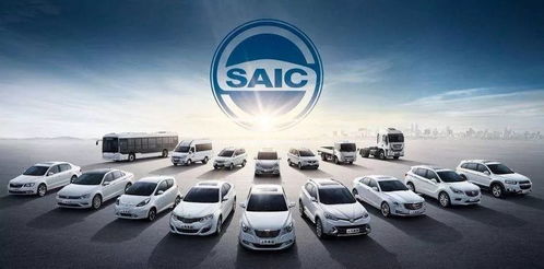 义乌现今有多少汽车(义乌现今的汽车数量概览)