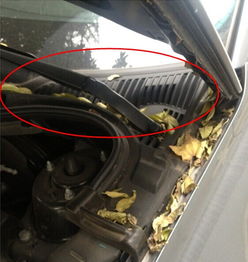 汽车雾状喷嘴高度多少(汽车雾状喷嘴高度多少，深度解析汽车雾状喷嘴的重要性及其最佳高度设置)