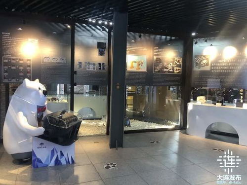 汽车扫雪设备价位多少(汽车扫雪设备价位多少，深度解析与购买建议)