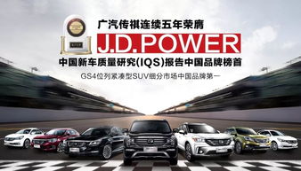 大洼品牌汽车品类多少(大洼品牌汽车品类概览)