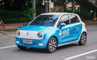 大洼品牌汽车品类多少(大洼品牌汽车品类概览)