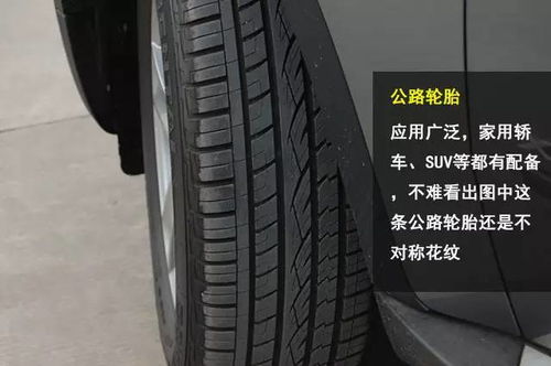 汽车普通轮胎静音多少(汽车普通轮胎静音性能深度解析)