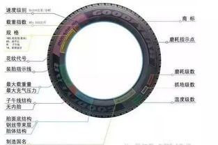 安徽汽车锻件市价多少(安徽汽车锻件市场分析及价格概述)
