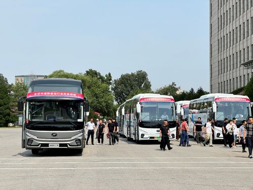 金田有多少客运汽车(金田客运汽车数量概览)