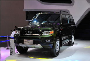 猎豹汽车卖了多少车(猎豹汽车的销售业绩，探究其车辆销售数量)