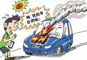 汽车燃烧需要多少养分(汽车燃烧需要多少养分，探究汽车燃料与能源效率的关系)