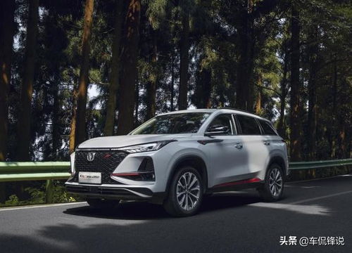 汽车保号费用多少(汽车保号费用多少，全面解析与深度探讨)