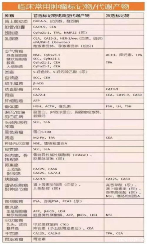 汽车电压最大是多少(汽车电压最大的数值解析)