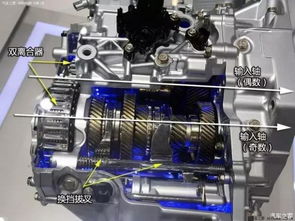 汽车齿轮有多少种(汽车齿轮的种类及其特点)