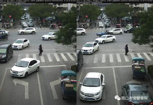 上海汽车逆行罚款多少(上海汽车逆行罚款多少？城市交通违规行为的法律解读)