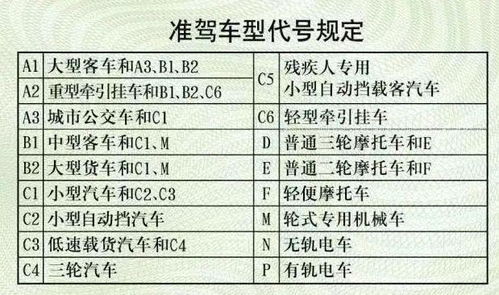 汽车每年有多少分(汽车每年有多少分，一个关于交通积分制度的探讨)