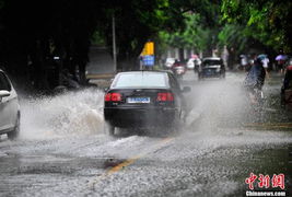 海口的汽车多少辆(海口的汽车数量及其影响)