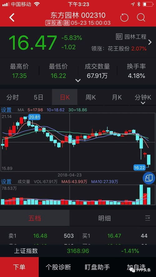 东方汽车股票最高多少(东方汽车股票最高点的历史回顾与未来展望)