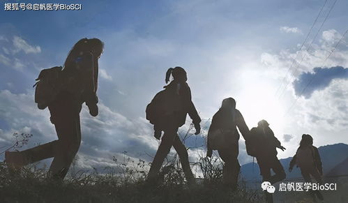 汽车轮距有多少(汽车轮距有多少，深入了解与影响因素分析)