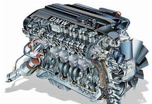 汽车尾板寿命多少(汽车尾板寿命多少，影响因素与延长方法)