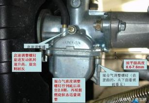 汽车化油器多少个(汽车化油器的数量解析)