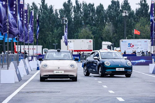 美国全国汽车多少辆(美国全国汽车数量概况)