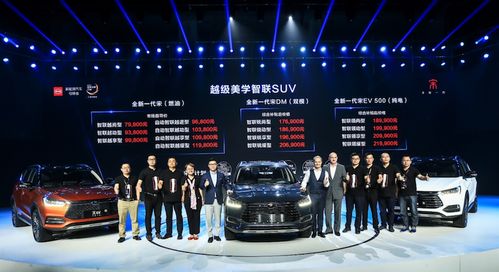 龙颜汽车多少钱(龙颜汽车价格解析，究竟多少钱？