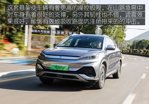 龙颜汽车多少钱(龙颜汽车价格解析，究竟多少钱？