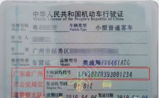 汽车海关编号是多少(汽车海关编号是多少—探索车辆进出口的身份标识)