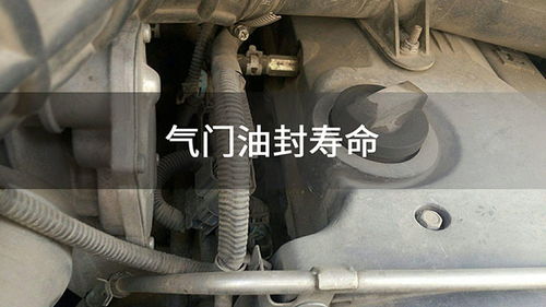 汽车油封多少公里换(汽车油封更换周期详解，多少公里需要更换汽车油封？