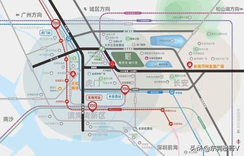 常德汽车南站房价多少(常德汽车南站周边房价分析)