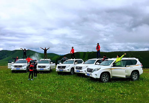 汽车月租最便宜多少(汽车月租最便宜多少？全面解析租车成本与选择策略)