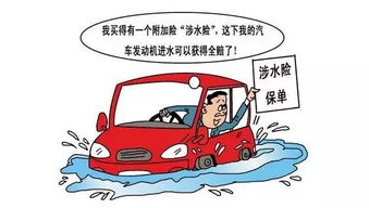 汽车撞了保险会报多少(汽车撞了保险会报多少，深度解析汽车保险理赔流程与金额)