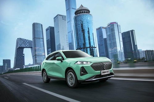 魏牌汽车代码多少(魏牌汽车代码及其背后的故事)