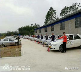 桂平有多少辆汽车(桂平汽车数量统计及其影响)