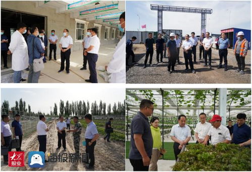 新疆汽车店降价多少(新疆汽车店降价情况分析)