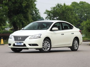 蓝山汽车预订量多少(蓝山汽车预订量深度解析)