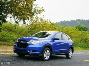 蓝山汽车预订量多少(蓝山汽车预订量深度解析)