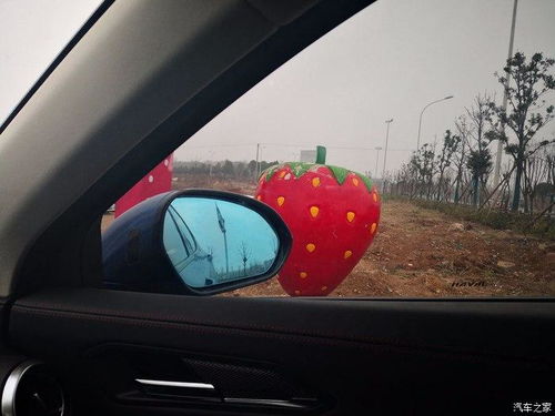 汽车开到多少公里划算(汽车开到多少公里划算，探讨汽车使用成本与效益的平衡点)