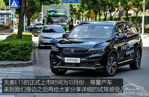 多少周岁可以买汽车(多少周岁可以买汽车？一篇文章带你了解购车年龄限制及相关注意事项)