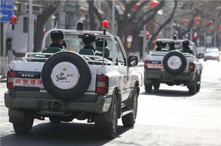 美国警察汽车多少马力(美国警察使用的汽车马力研究，动力与公共安全的关系)