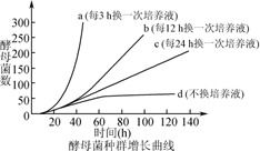 汽车题库有多少题(汽车题库中的题目数量探究)