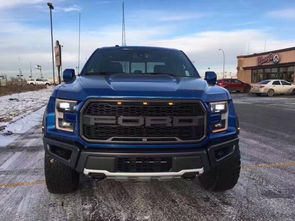 猛禽汽车多少价位合适(猛禽汽车，价位定位与选择策略)