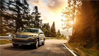 汽车横杆增高多少正常(汽车横杆增高多少正常，探究汽车横杆高度的合理范围)