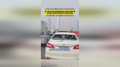 日本排放汽车多少辆(日本汽车排放数量及其影响)