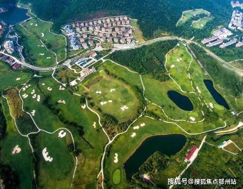 汽车被盗险是多少(汽车被盗险的保障与费用，深度解析)