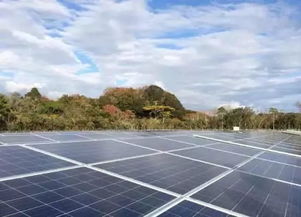 光伏汽车售价多少(光伏汽车售价多少，探索绿色能源新领域的发展趋势与价格因素)