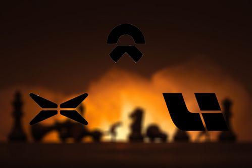 蔚莱汽车补贴多少(蔚莱汽车补贴多少，深度解析与最新动态)