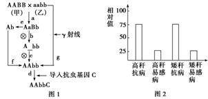 汽车空滤盒温度多少(汽车空滤盒温度多少，影响因素与测量方法)