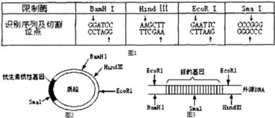 汽车空滤盒温度多少(汽车空滤盒温度多少，影响因素与测量方法)