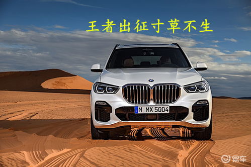 宝马汽车喝油多少(宝马汽车喝油多少，深度解析宝马汽车的油耗性能)