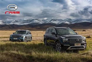 多少公里大保养汽车(汽车多少公里大保养，深度解析与操作指南)