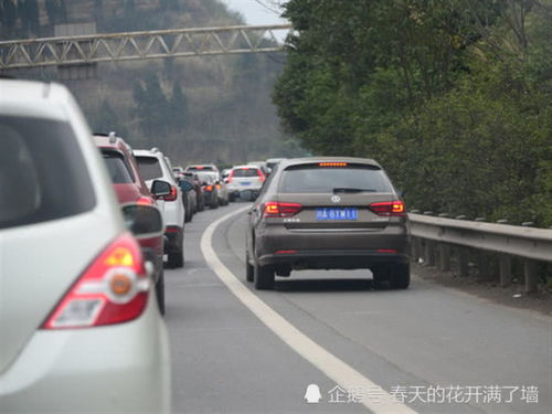 广西的汽车有多少(广西的汽车数量概览)