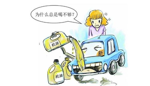 汽车烧机油多少严重(汽车烧机油多少严重，解析与应对措施)