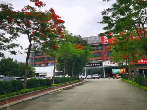 番禺汽车小镇面积多少(番禺汽车小镇，揭秘其面积与魅力所在)